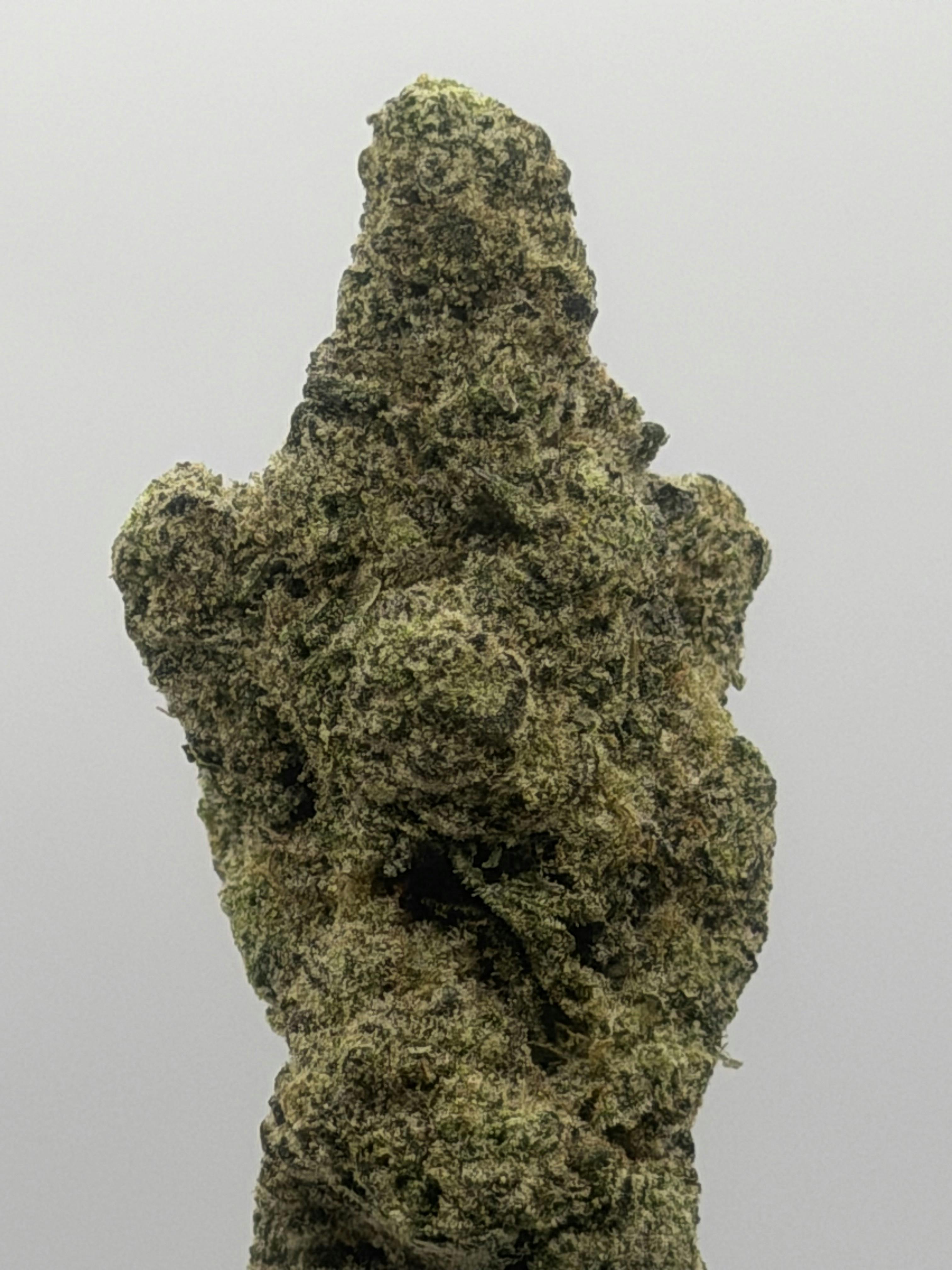 Premium Flower 1 Gram | Animal Mints at Nitro Organics
