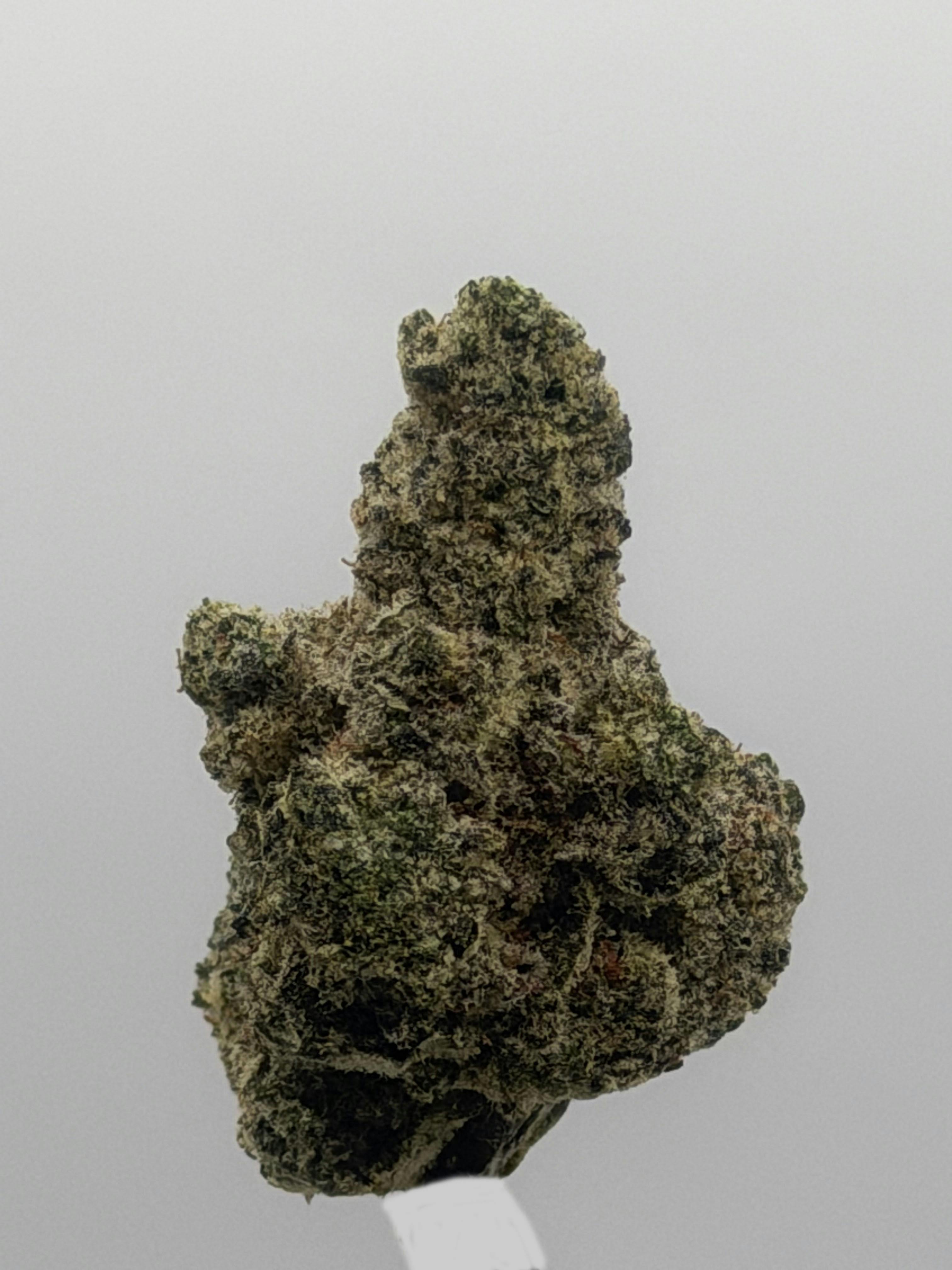 Premium Flower 1 Gram | Strawberry Jelly X Don Mega at Nitro Organics