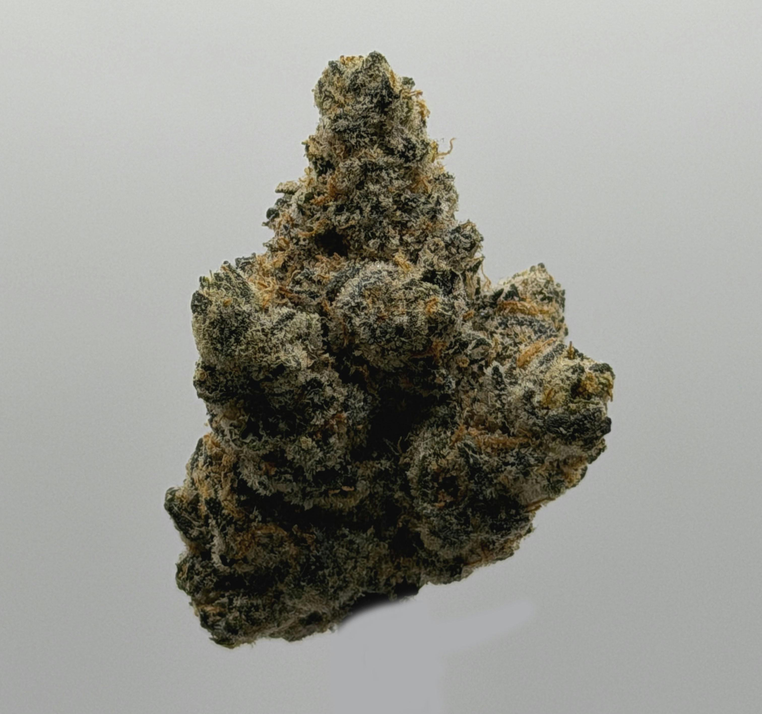 Premium Flower 3.5 Gram | Octane Mint Sorbet (I) at Nitro Organics