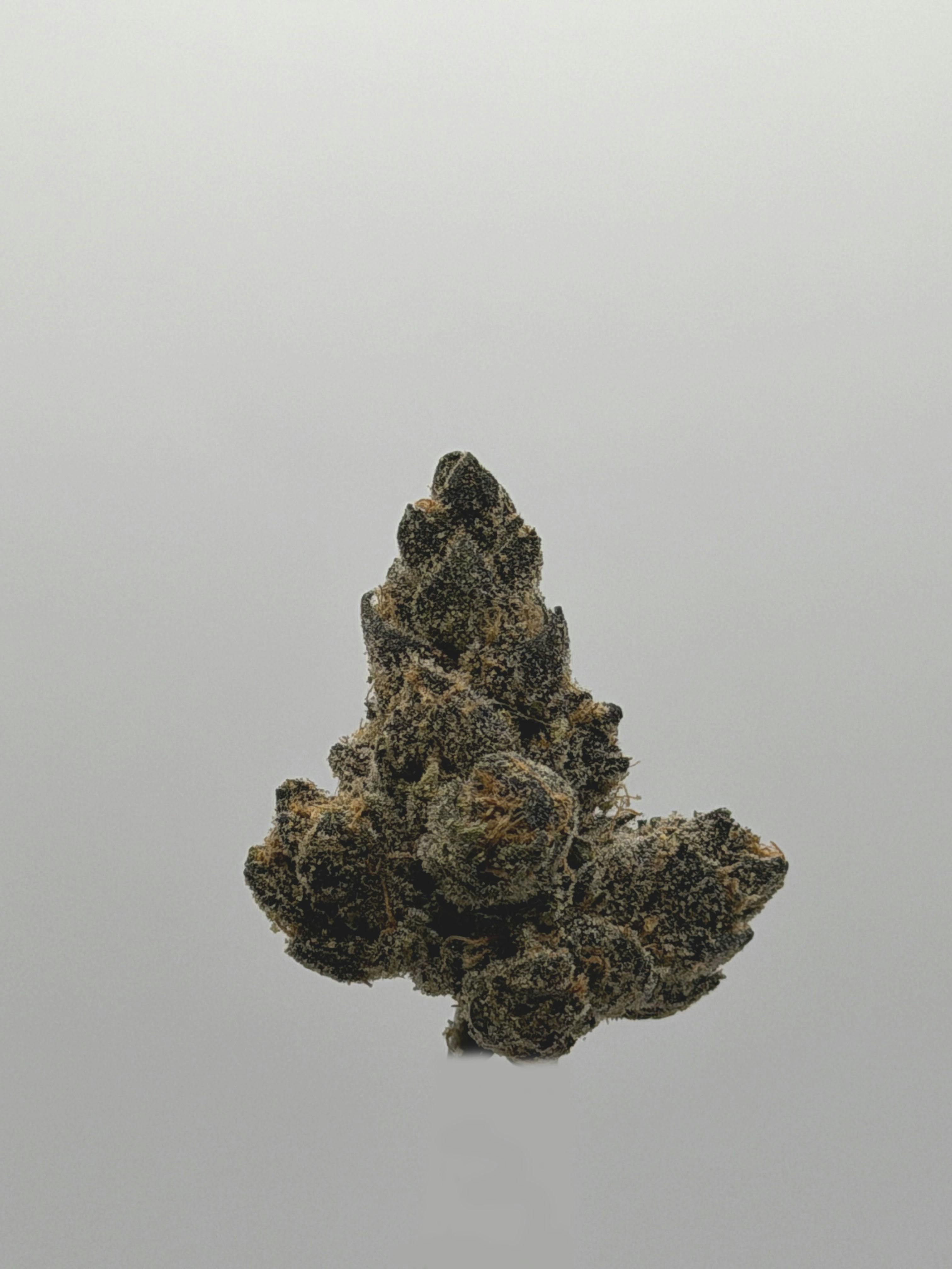 Premium Pre-Roll 1 Gram | Apples & Bananas (H) at Nitro Organics
