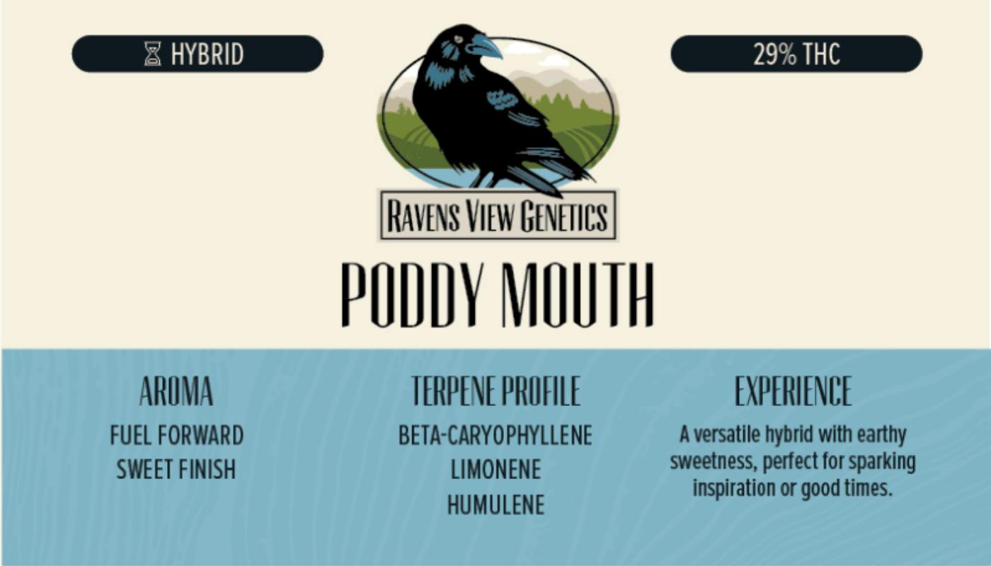 Ravens View Genetics - Poddy Mouth - Flower - 3.5g