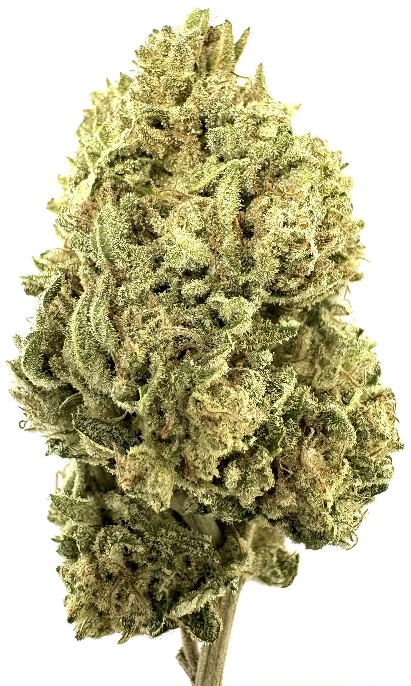 Catskill Mountain Kush - Catskill Mountain Kush - Flower - 3.5g