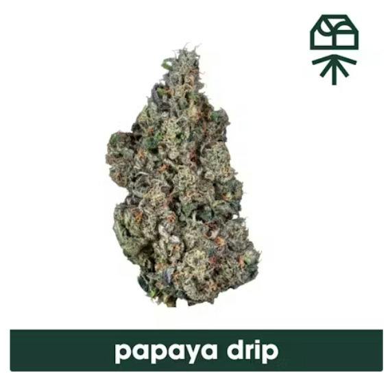 Grassroots Dark Heart - Papaya Drip Flower