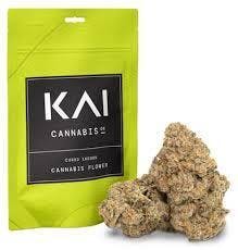 KAI - Gypsy Soap Flower