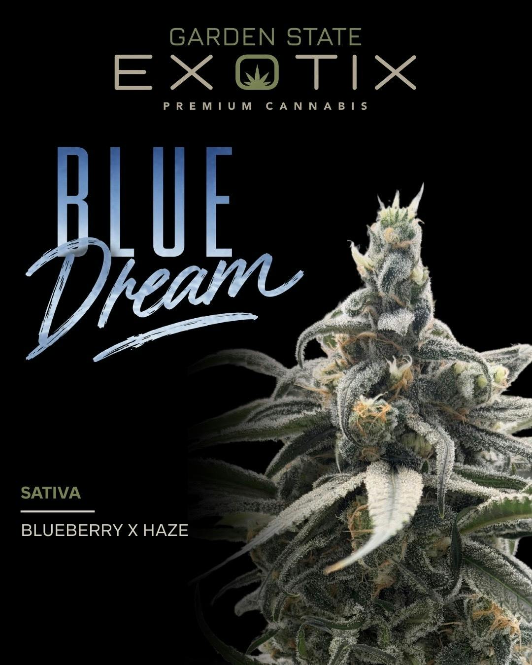 Loud - Blue Dream Flower