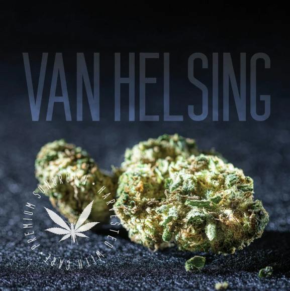 Grasshopper Farms - Van Helsing Flower