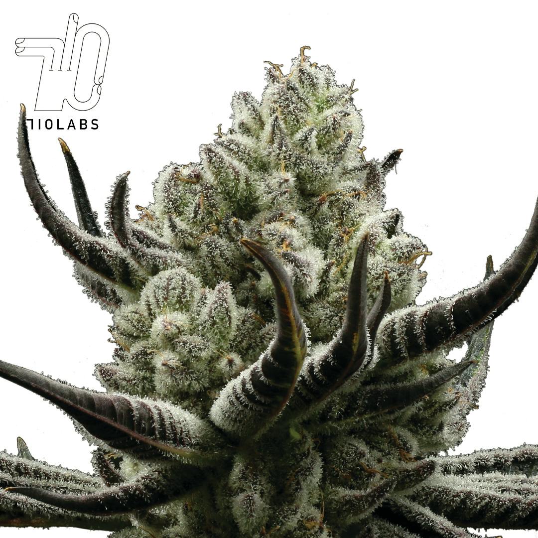 710 Labs | 3.5g Prepackaged Flower | Cold Creek OG (SAMPLE)