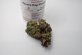 Cherry Pop Flower - I 3.5G