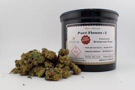 Pavé Flower - S 28G FH