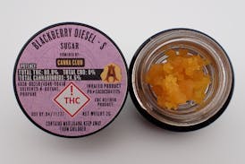 Blackberry Diesel Sugar - S 2G