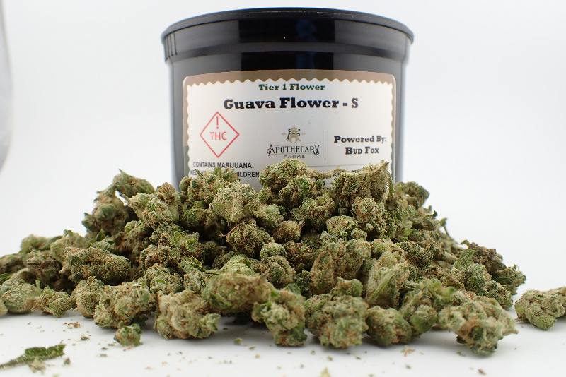 Guava Tier 1 Flower - S 28G