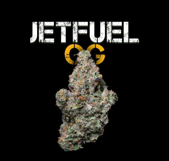 UPLYFTED | JET FUEL OG | BULK | INDICA