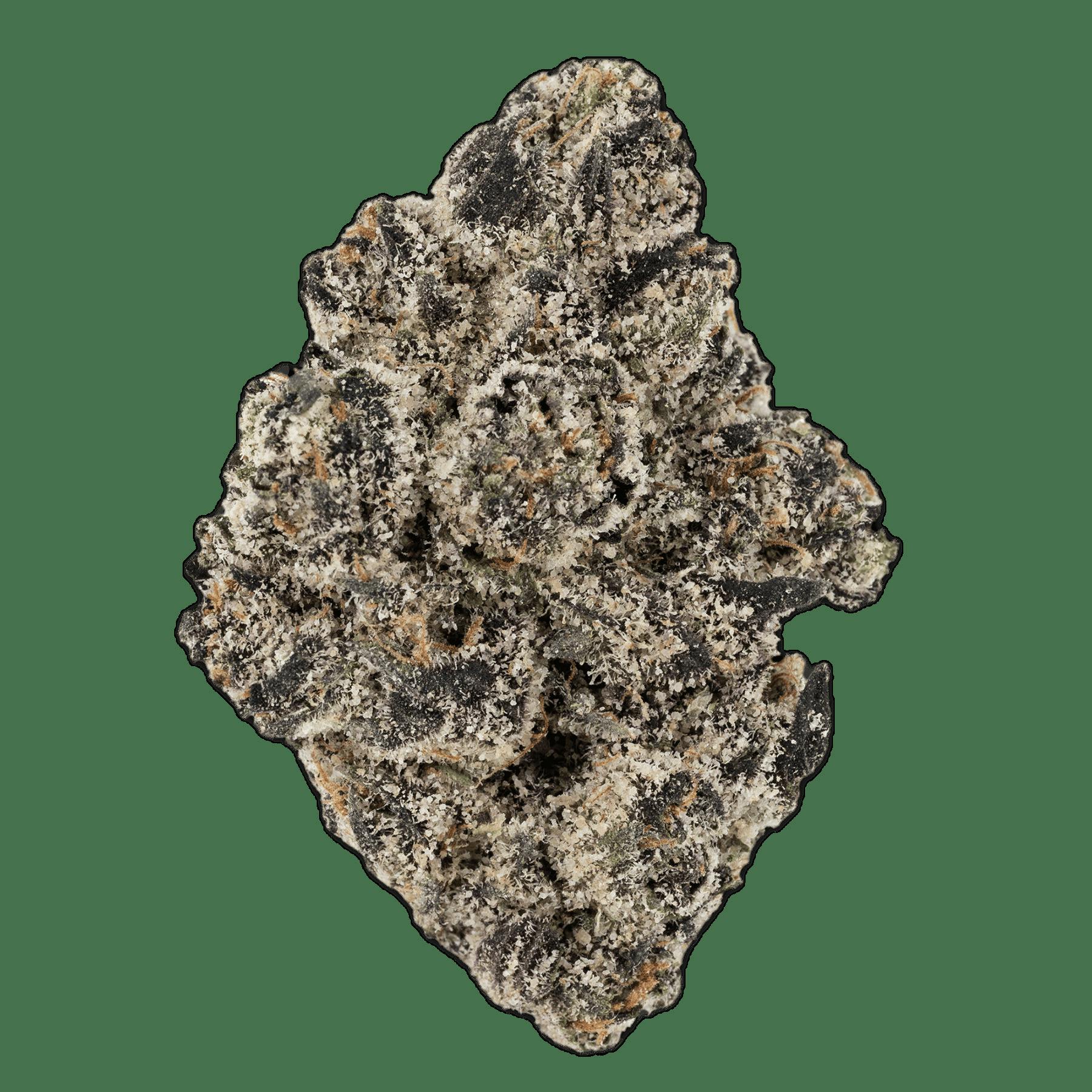 BOW HOUSE | POPZ 41 | BULK | HYBRID