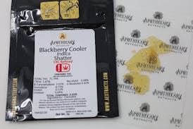 Blackberry Cooler Shatter - Indica 1g