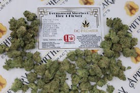 DC Permanent Sherbert Tier 1 Flower - Indica 14g