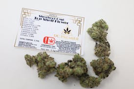 (DC Premier) Sherbert GMO - Top Shelf Flower -Indica 3.5g