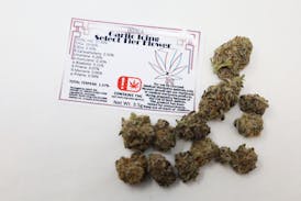 7 Leaf Garlic Icing Select Tier 1' Flower - Indica 3.5g