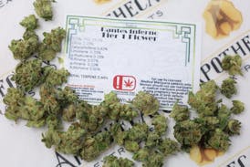 Dantes Inferno Tier 1 Flower - Indica 14g
