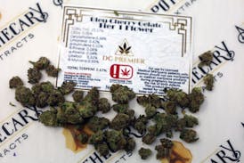 DC Bleu Cherry Gelato Tier 1 Flower - Indica 14g