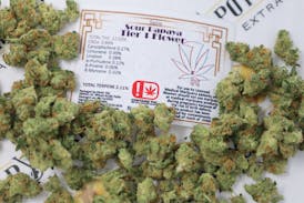 7 Leaf Sour Papaya Tier 1 Flower - Sativa 14g