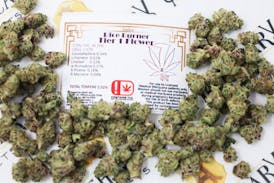 7 Leaf Rice Burner Tier 1 Flower - Indica 14g