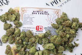 7 Leaf Scotti's Cake Tier 1 Flower - Indica 14g