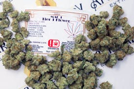 7 Leaf MAC 1 Tier 1 Flower - Indica 3.5g