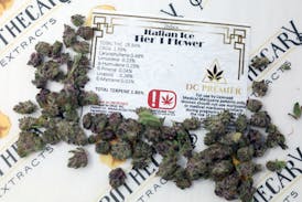 *NEW* DC Italian Ice Tier 1 Flower - Indica 14g