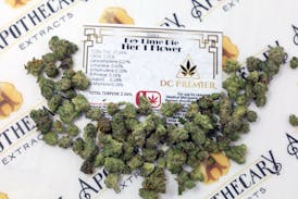 *NEW* DC Key Lime Pie Tier 1 Flower - Indica 14g