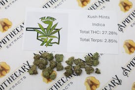 7 Leaf Kush Mints Tier 1 Flower - Indica 14g