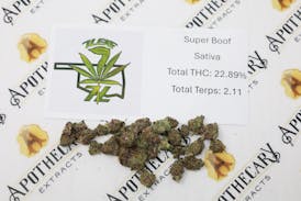 7 Leaf Super Boof Tier 1 Flower - Sativa 14g