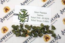 7 Leaf Sour Papaya Tier 1 Flower - Sativa 14g