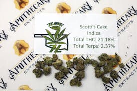 7 Leaf Scotti's Cake Tier 1 Flower - Indica 14g