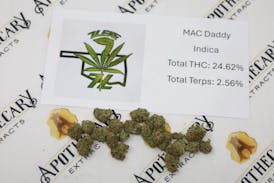 7 Leaf Mac Daddy Tier 1 Flower - Indica 14g