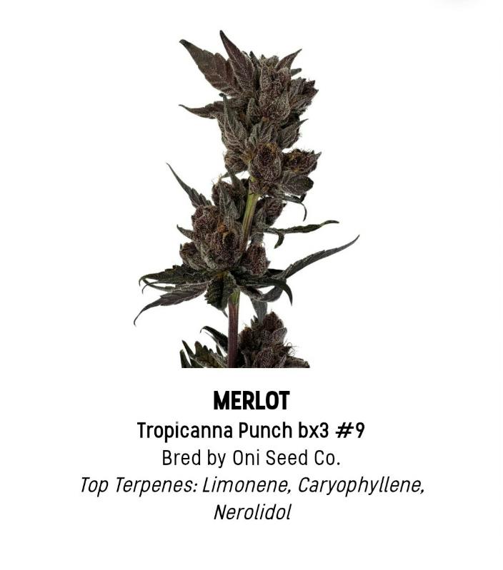 F5 Merlot Tier 1 Flower - Hybrid 3.5g