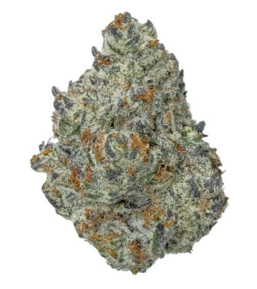Glitter Bomb x Sweet Tea - Silver Tier