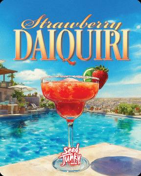 Strawberry Daiquiri - Diamond Tier