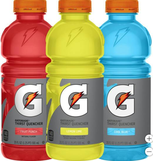 Gatorade - Fruit Punch