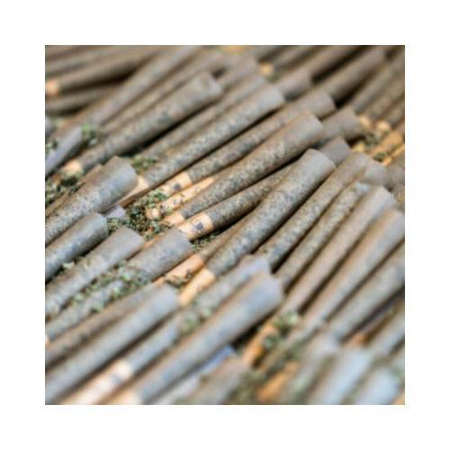 Magnum Sherbet .5g Pre-roll