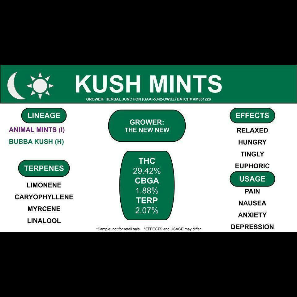 Buds | 3.5g | Kush Mints