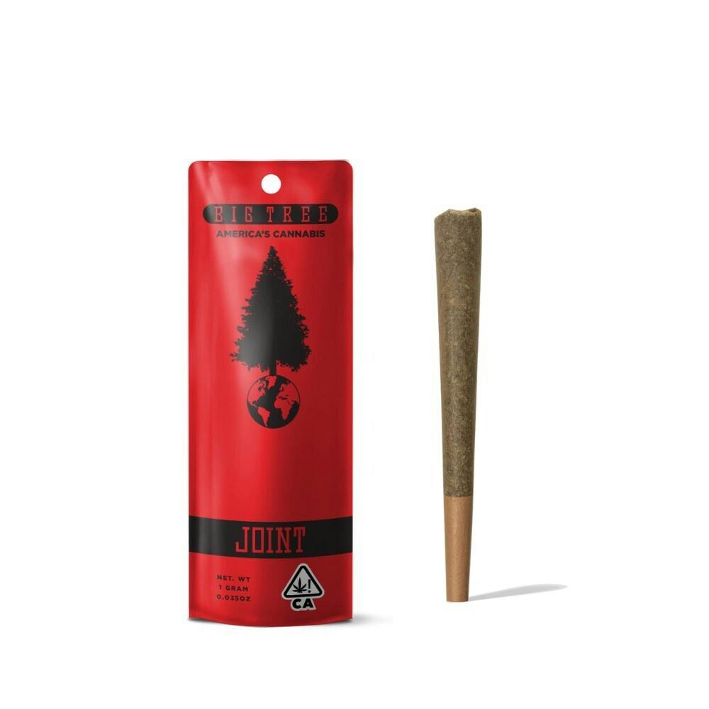 Big Tree Grapefruit Haze 1g Preroll