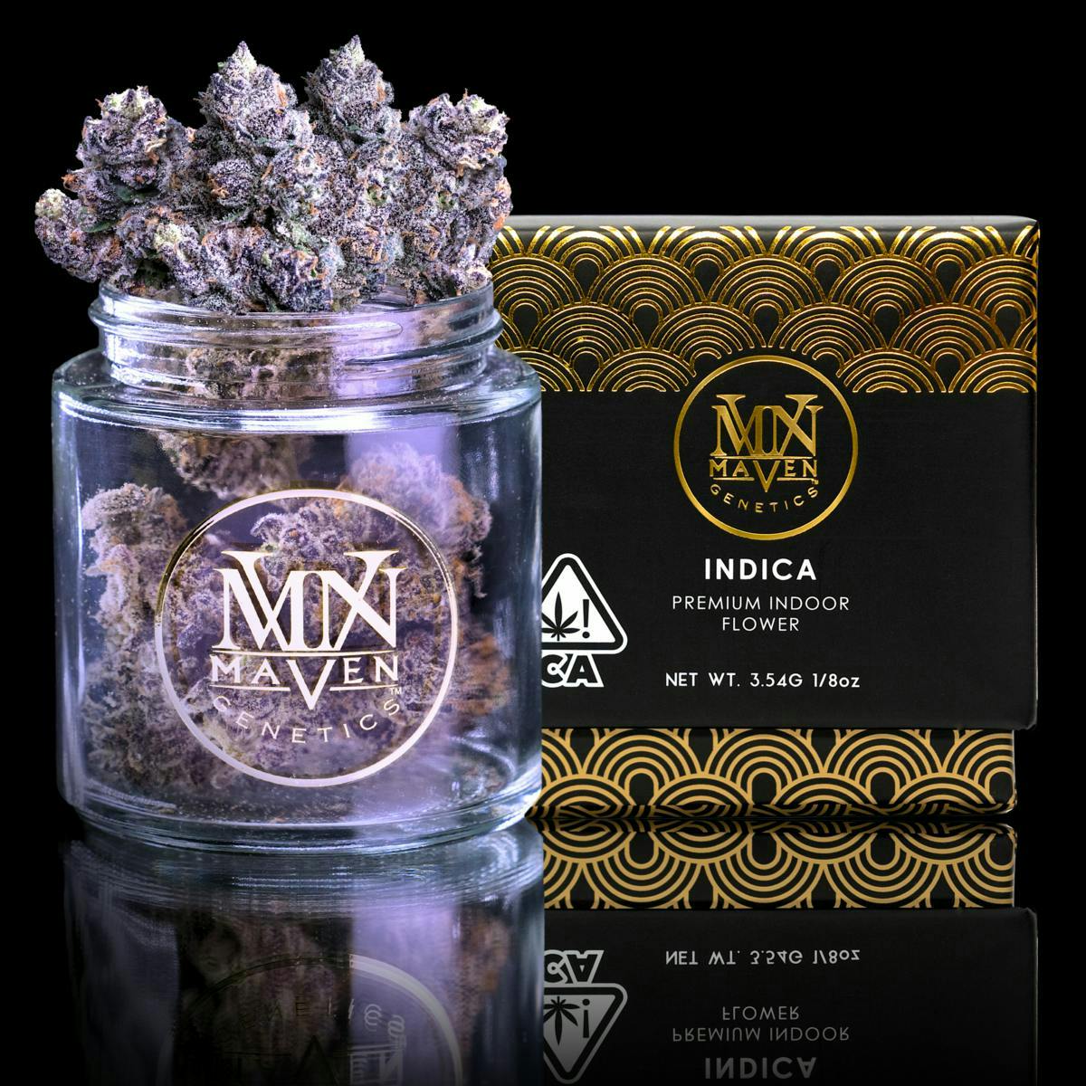 Maven Genetics Black — Lotus