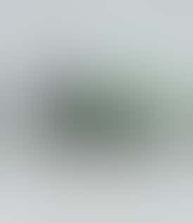 Jade Rx - Topical Analgesic Cream - 2.2oz