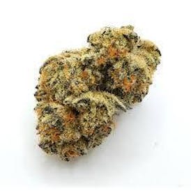 Bar H- Gold Cash Gold