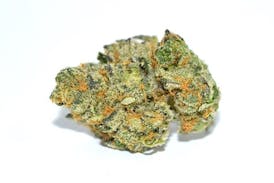 ALTRD - Shake 28g - Headband Cookies