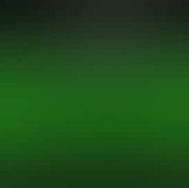 Bee Elevated- FECO Bee- Leaf Lotion