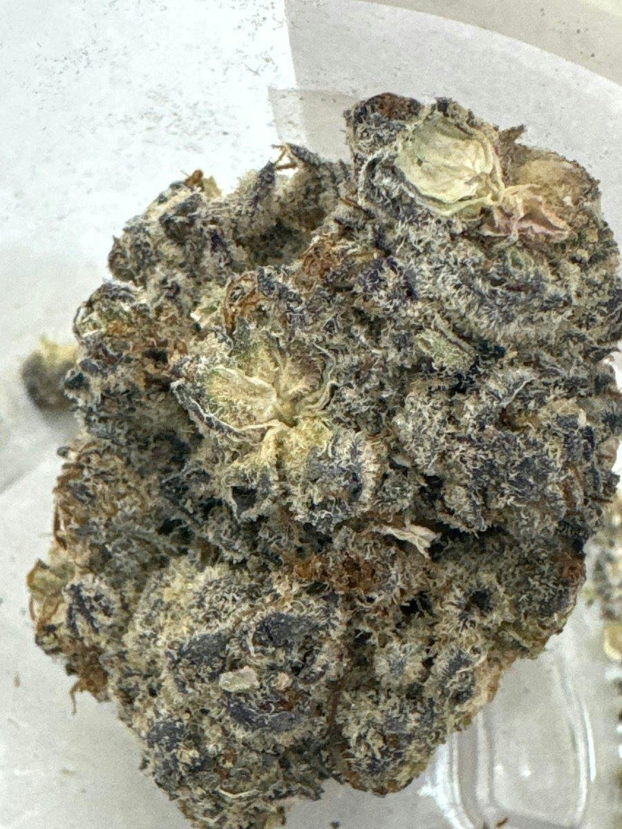Method 3.5g Cookies N Cream at Lotus Gold Cannabis Co.