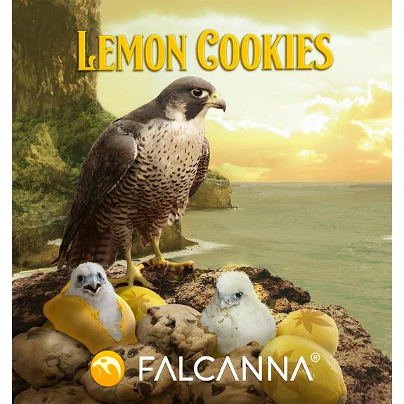 Falcanna - Lemon Cookies Joints 2pk