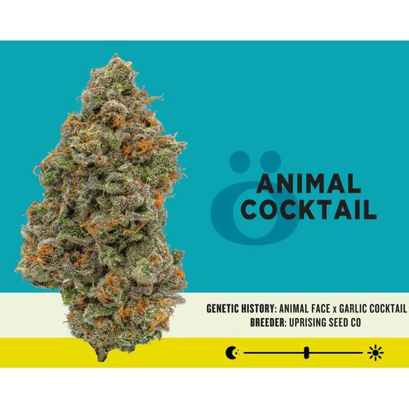 Animal Cocktail