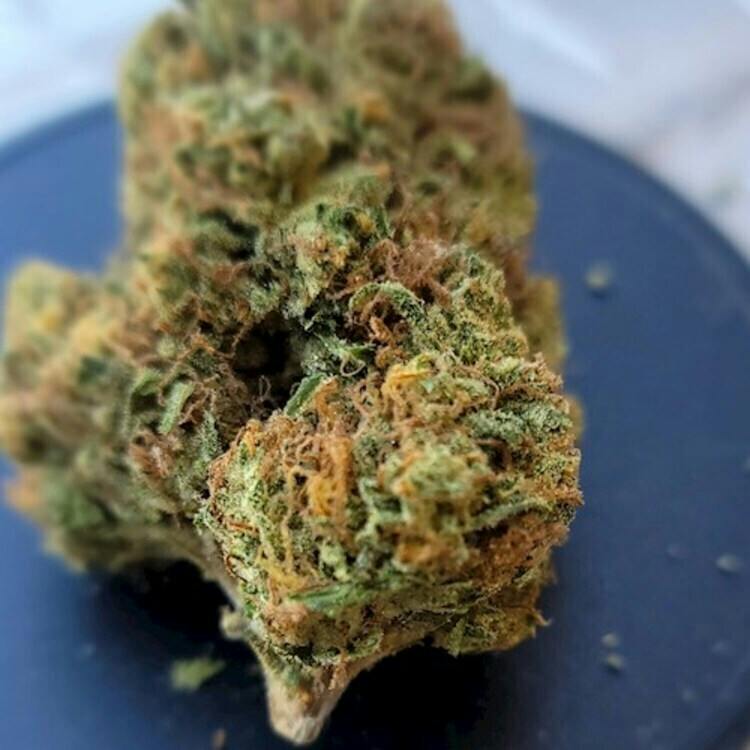 Sundaze